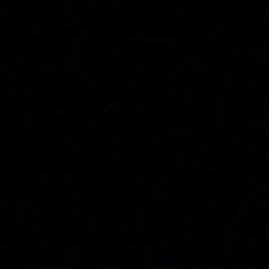 Meet your Posher, Troy